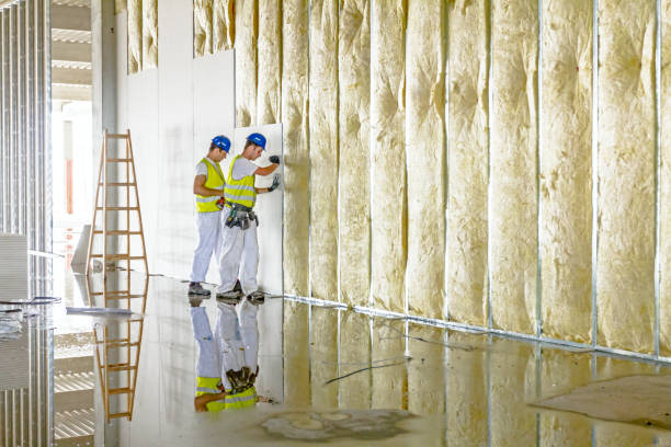 Best Eco-Friendly Insulation in Dillsburg, PA